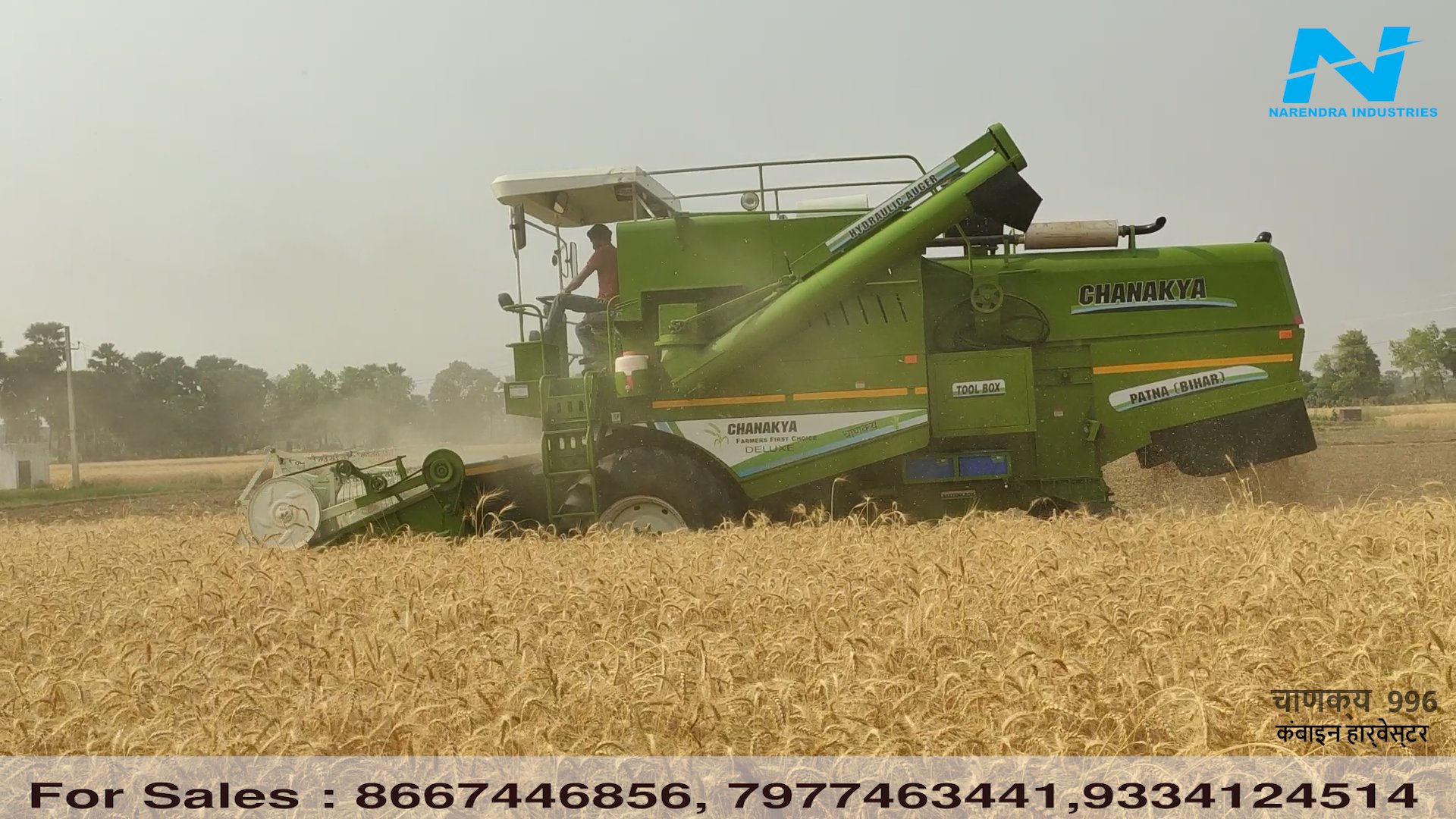 Chanakya 996 side profile while harvesting